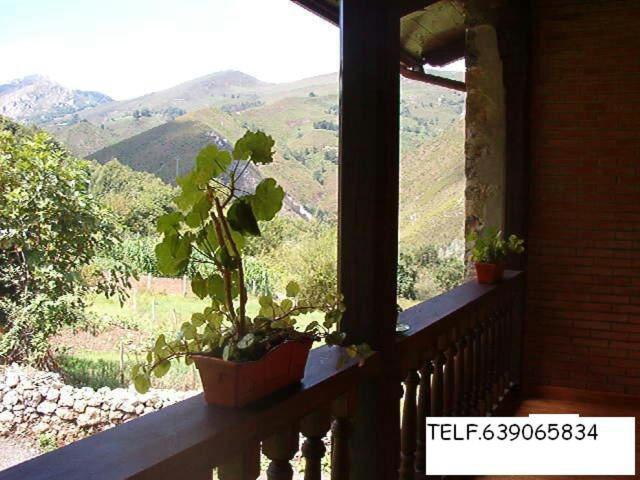 Holiday home La Nozal Piscina, Barbacoa, Jardin